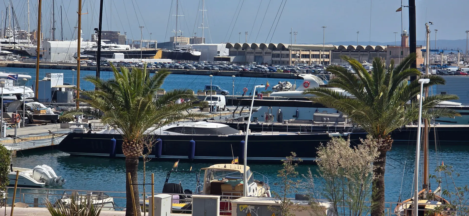 Marina Palma Cuarentena photo 1
